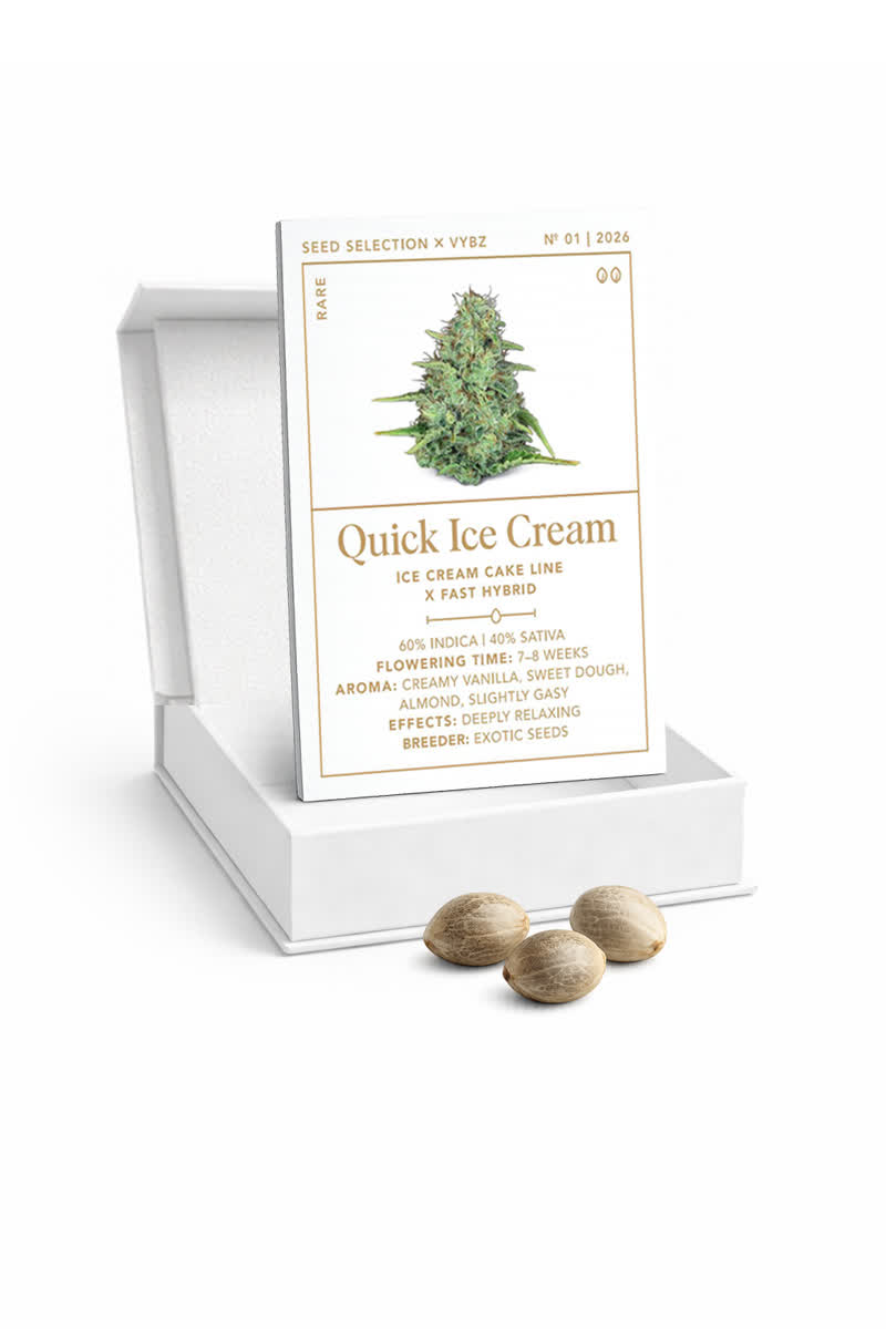 Quick Ice Cream Seed Card